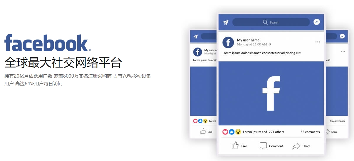 兰州海外社交媒体营销  第1张